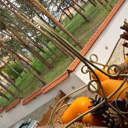 Апартамент Allegri Padrini Комплекс Вели Хилс Velingrado Exterior foto